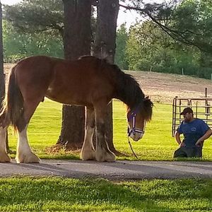 Meet your Posher, Jordan